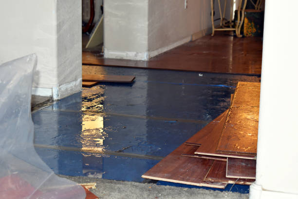 Professional Basement Flood Cleanup technician working in Elmwood Park, IL
